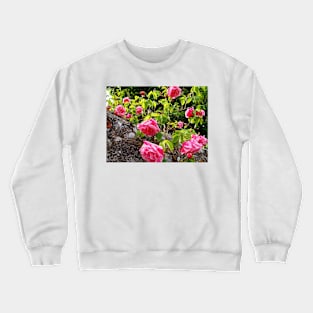 Wild Roses Crewneck Sweatshirt